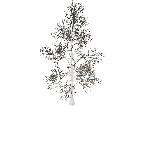 BeecthTree04Winter_afsTREE_xmvcb _xlod01_xlp